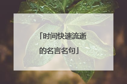 时间快速流逝的名言名句