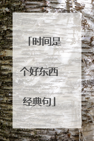 时间是个好东西经典句