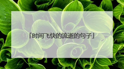 时间飞快的流逝的句子