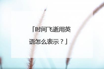 时间飞逝用英语怎么表示？