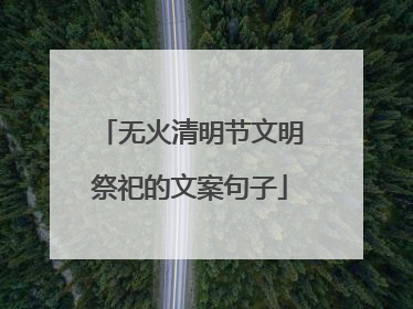 无火清明节文明祭祀的文案句子