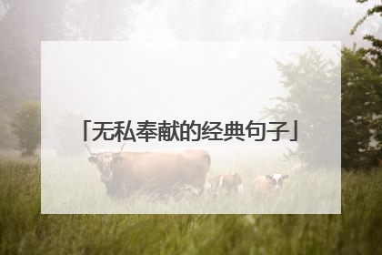 无私奉献的经典句子