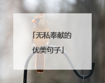 无私奉献的优美句子