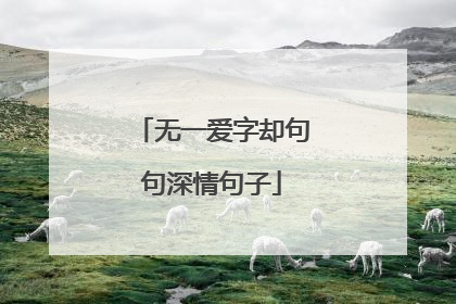 无一爱字却句句深情句子