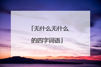 无什么无什么的四字词语