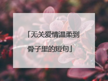 无关爱情温柔到骨子里的短句