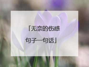 无奈的伤感句子一句话