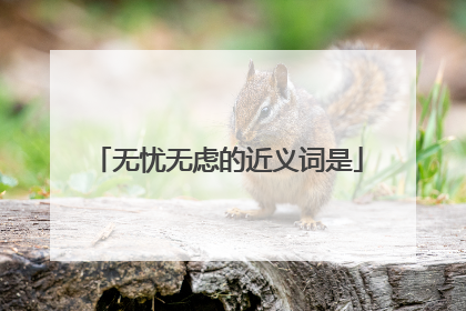 无忧无虑的近义词是