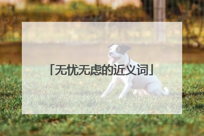 无忧无虑的近义词