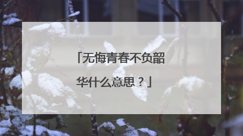 无悔青春不负韶华什么意思？