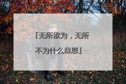 无所欲为,无所不为什么意思