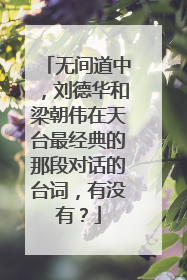 无间道中,刘德华和梁朝伟在天台最经典的那段对话的台词,有没有?