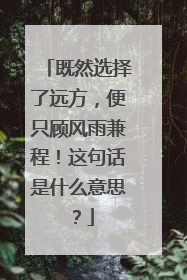 既然选择了远方，便只顾风雨兼程！这句话是什么意思？