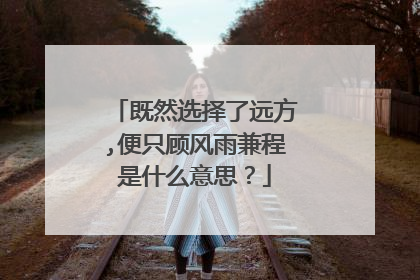 既然选择了远方,便只顾风雨兼程是什么意思?