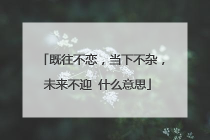 既往不恋,当下不杂,未来不迎 什么意思