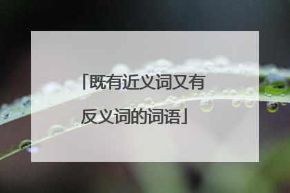既有近义词又有反义词的词语