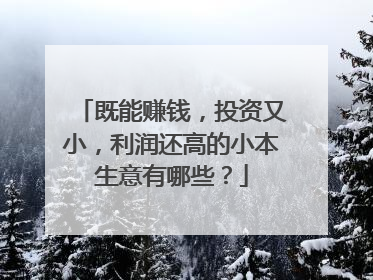 既能赚钱，投资又小，利润还高的小本生意有哪些？