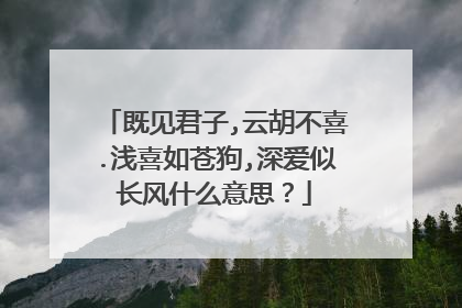 既见君子,云胡不喜.浅喜如苍狗,深爱似长风什么意思？