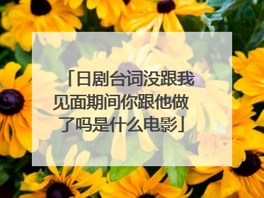 日剧台词没跟我见面期间你跟他做了吗是什么电影