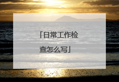 日常工作检查怎么写