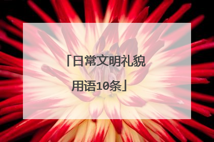 日常文明礼貌用语10条
