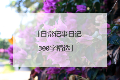 日常记事日记300字精选