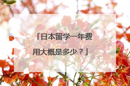 日本留学一年费用大概是多少？