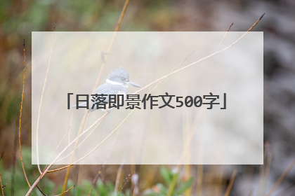 日落即景作文500字
