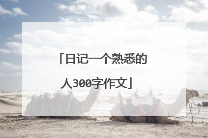 日记一个熟悉的人300字作文