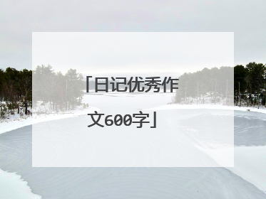 日记优秀作文600字