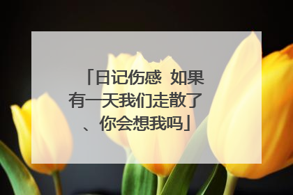 日记伤感 如果有一天我们走散了、你会想我吗