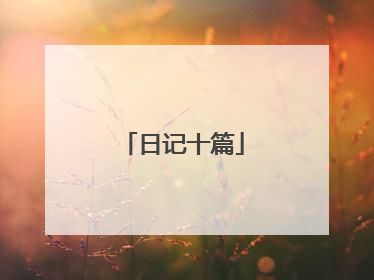 日记十篇