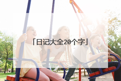 日记大全20个字