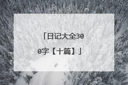日记大全300字【十篇】