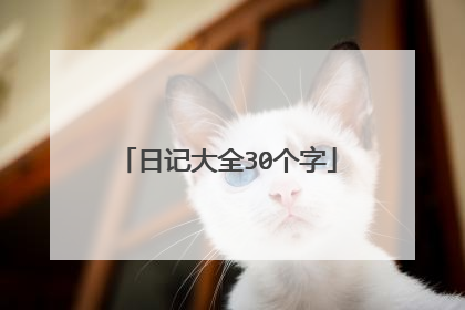 日记大全30个字