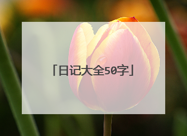 日记大全50字