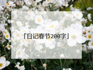 日记春节200字