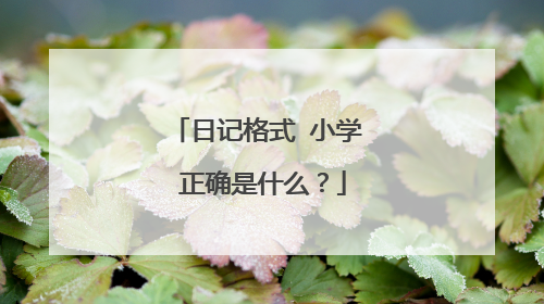 日记格式 小学 正确是什么?