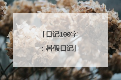日记100字：暑假日记