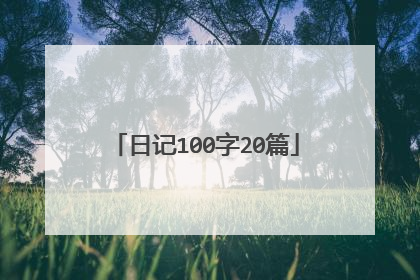 日记100字20篇