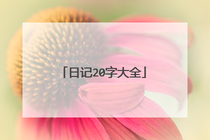 日记20字大全
