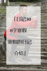 日记300字寒假 寒假的日记介绍