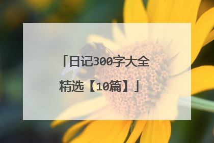 日记300字大全精选【10篇】