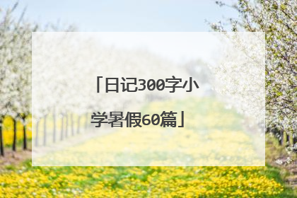 日记300字小学暑假60篇