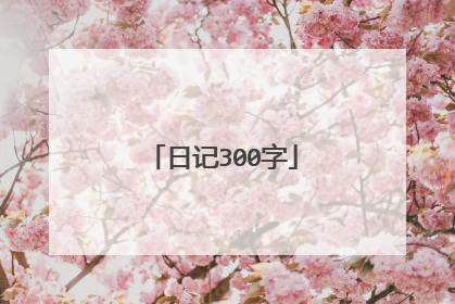日记300字