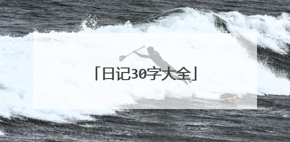 日记30字大全