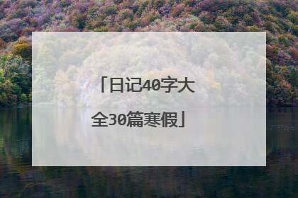 日记40字大全30篇寒假
