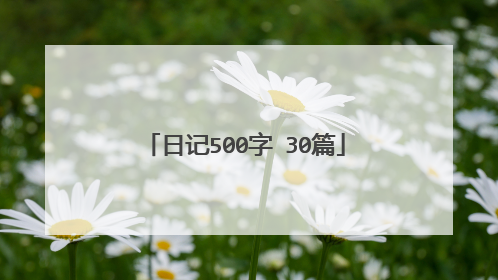 日记500字 30篇