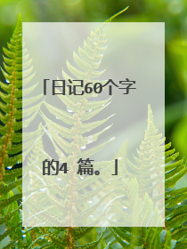 日记60个字的4 篇。