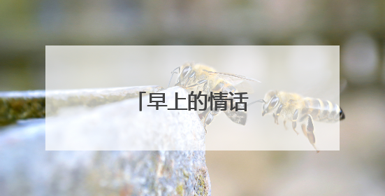 早上的情话最暖心短句